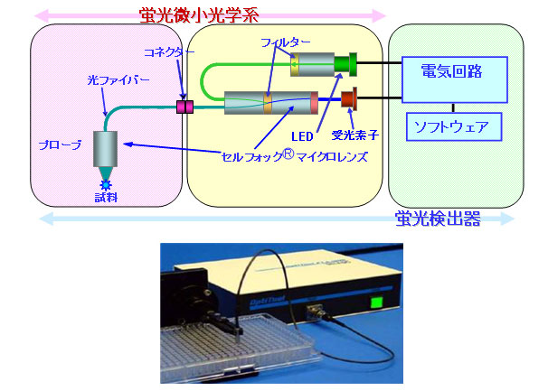 蛍光検出システム製品 構造図